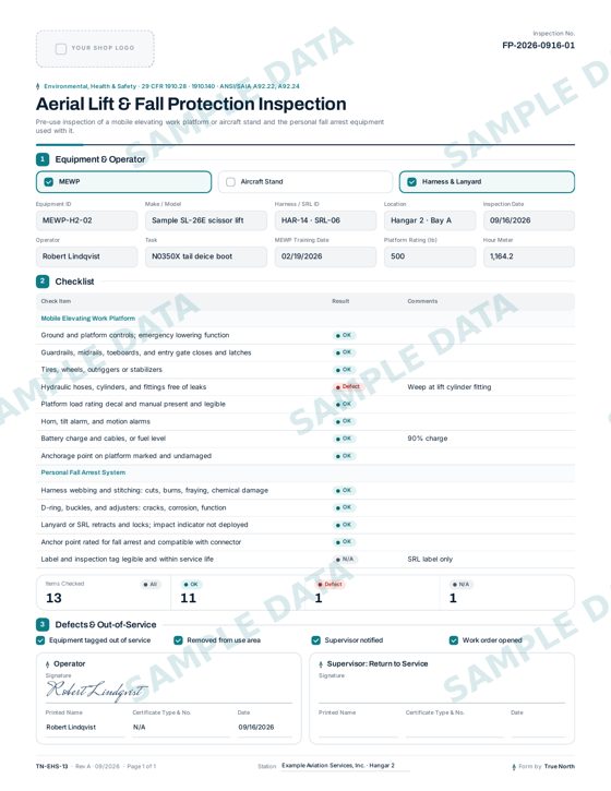 Aerial Lift & Fall Protection Inspection sample