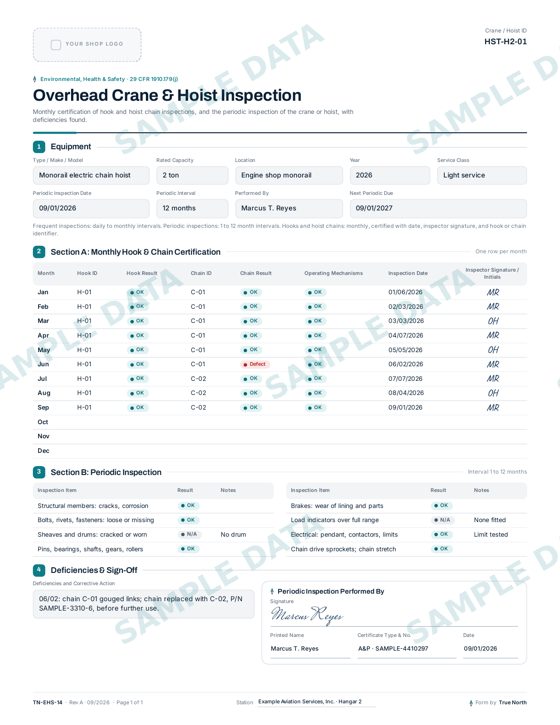 Overhead Crane & Hoist Inspection sample